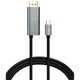 Кабель мультимедійний USB-C to DisplayPort 1.5m v1.2 4K60Hz PD 100W port Vinga (VCPVCCD1215PD) - изображение 1