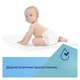 Пелюшки для малюків Canpol babies 60х60 см 10 шт (78/006) - изображение 6