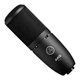 Мікрофон AKG P120 Black (3101H00400) - изображение 1