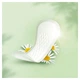 Щоденні прокладки Naturella Сamomile Light 20 шт. (4015400240310) - изображение 3
