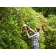 Кусторез Black&Decker 500W, нож 55 см, до 16 мм, с доп ножом, вес 2,54 кг (BEHTS401) - изображение 3