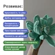 Набор для творчества LED светильник «Лотос» DIY из синельной проволоки + гирлянда и инструменты - изображение 7