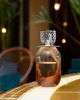 Лампа Берже (з наповнювачем) Maison Berger EVANESCENCE FAUVE Mystic Leather (4793-BER) - изображение 5