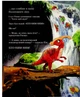 Друзяки-динозаврики: Печера летучих - Л. Мелє (9786178773441) - зображення 14