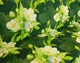 Чохол матраца для гойдалки водовідштовхуючий eGarden JASMINE FRESH TOUCH 170x110x6 - зображення 5