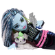 Кукла Монстер Хай Фрэнки Штейн с питомцем Monster High Frankie Stein with Pet Dog Watzie Mattel (JHK31) (JHK31) - изображение 4