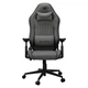 Кресло для геймеров Cougar Explore Royal f Gray - изображение 1