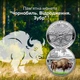 Памятная монета «Зубр. Чернобыль. Возрождение» в капсуле и сувенирной упаковке - изображение 12