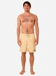 Шорти для плавання 04EMBO-9746 Rip Curl L Жовтий 04EMBO-9746 XL - зображення 4
