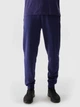 Штани спортивні TROUSERS CAS M603 4FWSS24TTROM603-31S 4F L Темно-синій 4FWSS24TTROM603-31S S - изображение 1