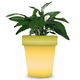 Нічник-горщик RIAS Garden Light Vase з підсвіткою LED White (3_08186) - зображення 1