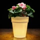 Нічник-горщик RIAS Garden Light Vase з підсвіткою LED White (3_08186) - зображення 7