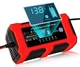 Зарядное устройство RIAS R-1210 с LCD экраном и режимом восстановления 12V 10A Red (3_08230) - изображение 7