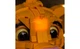 Конструктор LEGO Подсветка для набора Disney Юний король Лев Сімба (43247) 1 деталей (GC769) - изображение 5