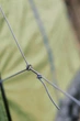 Шатро Tramp Mosquito Lite UTRT-105-olive - зображення 9