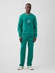 Спортивный костюм мужской GAP 479272257 M Зеленый (1159861440) - изображение 1