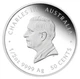 Колекційна срібна монета “Lunar III - Рік Коня” PROOF 15,55 г 2026 рік - изображение 3