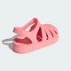 Дитячі Сандалі Superstar Kids adidas JI2799 34 (34 EUR) рожевий (4067904579557) - зображення 6