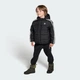 Детские Сапоги Superstar 360 Winterized Kids adidas JQ7950 34 (34 EUR) зеленый (4068801503485) - изображение 3