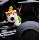 Мякая игрушка в авто на руль собачка в очках шапке dog на переклчатель двориников - изображение 2