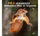 Фотопастка MAXDONE PH960W-CT, камера спостереження з датчиком руху, нічне бачення - зображення 4