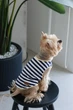 Майка Pet Fashion Tropic для собак XS2 4823082445738 - зображення 4