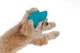 Кепка Pet Fashion Topaz для собак XS 4823082446018 - зображення 4