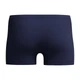 Плавки чоловічі Speedo MEDLEY LOGO AQUASHORT NVY/BLU (8-11354002) 42 - зображення 6