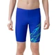 Плавки дитячі Speedo MEDLEY LOGO JAMMER BLU/LTGRN (8-12411004) 15-16, 176 см - зображення 1