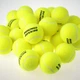 Мяч теннисный DUNLOP COACHING 48 шт - изображение 4