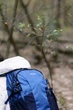 Туристический рюкзак Tribe Urban 44х23-27х14-19 см 25 л Синий (T-IC-0022-blue) - изображение 16