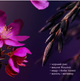 Набор подарочный Rituals The Ritual Of Yozakura A Love Affair 2-step routine (27433WB) - изображение 2