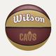 Универсальный баскетбольный мяч Wilson NBA Team Tribute(WZ4011601XB7) 7 - изображение 2