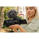 Объектив Tamron AF 17-50mm f/4 Di III VXD Sony E (A068S) [163613] - изображение 8