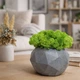 Кашпо со стабилизированным мхом 10×6.5 см Gray Concrete – декоративное гипсовое кашпо под бетон в стиле лофт - изображение 1