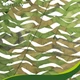 Маскова сітка Gardlov Woodland 2 x 3 м, тенева та захисна, водостійка, посилені краї + 100 стяжок у комплекті (27386) - зображення 8