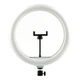 Лампа Fill Light 33cm (QX-330) Чорний - зображення 1