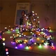 Светодиодная гирлянда, 10 метров, 220V, 480 leds, мультицветная (WLS-QX-DC2164M10) - изображение 1
