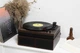 Вініловий програвач Fenton TT Classic Wood з Bluetooth з колонками 50 Вт (колонки в комплекті) без кришки - изображение 5