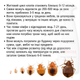 Venom Spray від клопів, тарганів та інших комах. Засіб готовий до використання! - зображення 7