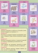 Книга «Playing English. Тварини (наліпки)». Автор - Анастасія Фісіна - зображення 2