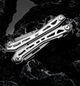 Мультитул 20 в 1 HuoHou Multi-Tool K20 универсальный многофункциональный складной EDC инструмент с плоскогубцами для туризма - изображение 11