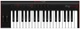 MIDI-клавиатура IK Multimedia iRig Keys 2 (8025813792036) - изображение 1
