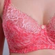Бюстгальтер 34924 Diorella коралловый 80Е - изображение 2