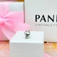 Срібна намистина Pandora Пандора Віслюк Іа-Іа 792209C01 - изображение 9