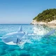 Акула на пульте Shark интерактивная игрушка на радиоуправлении 34см плавает в воде S806 - изображение 9