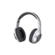 Навушники Panasonic RB-HX220BEE-S Gray (ek05534) - зображення 1