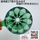 Пуровер Cafec Deep 27 Tritan Flower Dripper Dark Green Store - изображение 5