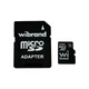 Карта пам'яті Wibrand 256GB microSD class 10 UHS-I U3 (WICDHU3/256GB-A) (22221) - зображення 1