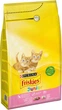 Сухой корм для котят Purina Friskies Junior с курицей молоком и овощами 1.5 кг (7613031341900) - изображение 1